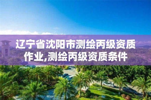 辽宁省沈阳市测绘丙级资质作业,测绘丙级资质条件