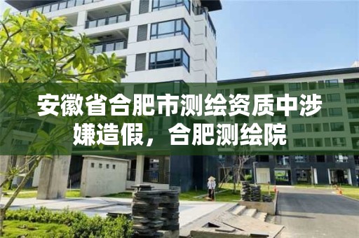 安徽省合肥市测绘资质中涉嫌造假，合肥测绘院