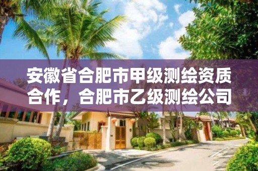 安徽省合肥市甲级测绘资质合作，合肥市乙级测绘公司