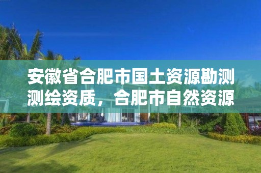 安徽省合肥市国土资源勘测测绘资质，合肥市自然资源和规划局测绘地理信息管理处