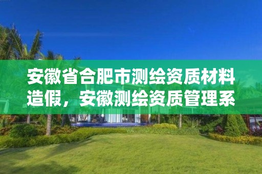 安徽省合肥市测绘资质材料造假，安徽测绘资质管理系统