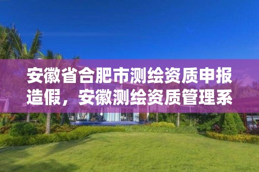 安徽省合肥市测绘资质申报造假，安徽测绘资质管理系统