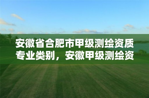 安徽省合肥市甲级测绘资质专业类别，安徽甲级测绘资质单位