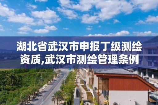 湖北省武汉市申报丁级测绘资质,武汉市测绘管理条例