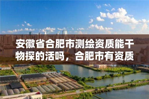 安徽省合肥市测绘资质能干物探的活吗，合肥市有资质的测绘公司