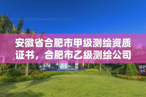 安徽省合肥市甲级测绘资质证书，合肥市乙级测绘公司