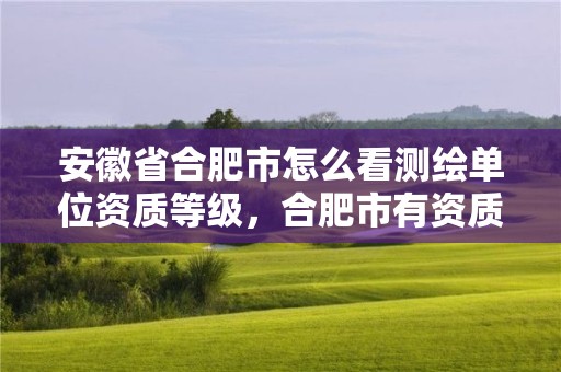 安徽省合肥市怎么看测绘单位资质等级，合肥市有资质的测绘公司