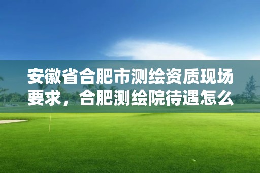 安徽省合肥市测绘资质现场要求，合肥测绘院待遇怎么样