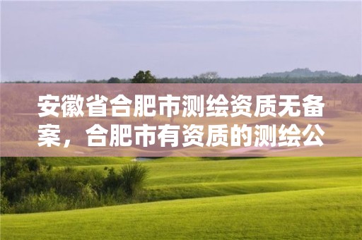 安徽省合肥市测绘资质无备案，合肥市有资质的测绘公司