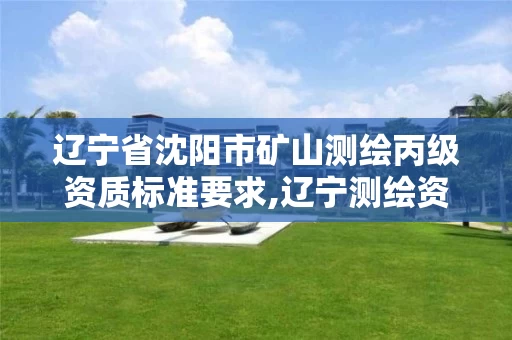 辽宁省沈阳市矿山测绘丙级资质标准要求,辽宁测绘资质查询