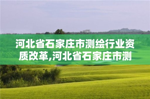 河北省石家庄市测绘行业资质改革,河北省石家庄市测绘行业资质改革实施方案