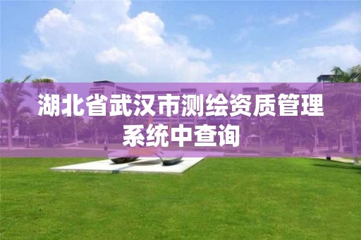 湖北省武汉市测绘资质管理系统中查询