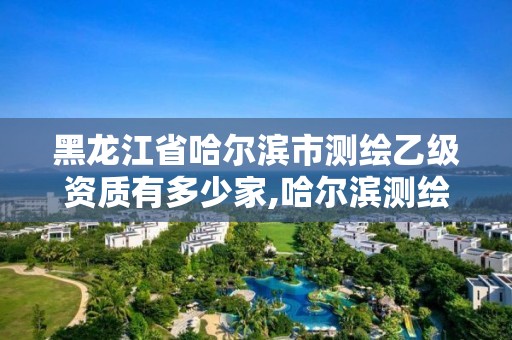 黑龙江省哈尔滨市测绘乙级资质有多少家,哈尔滨测绘公司哪家好