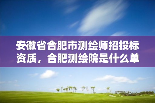 安徽省合肥市测绘师招投标资质，合肥测绘院是什么单位