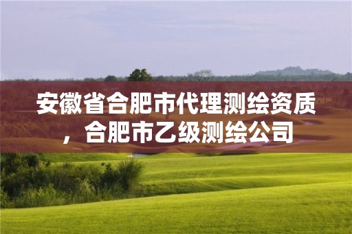 安徽省合肥市代理测绘资质，合肥市乙级测绘公司