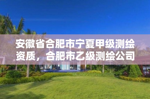 安徽省合肥市宁夏甲级测绘资质，合肥市乙级测绘公司