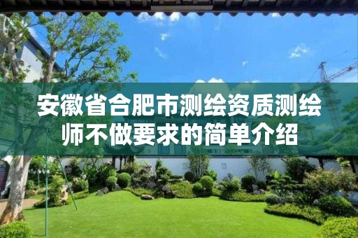 安徽省合肥市测绘资质测绘师不做要求的简单介绍