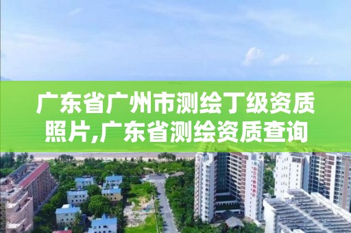 广东省广州市测绘丁级资质照片,广东省测绘资质查询