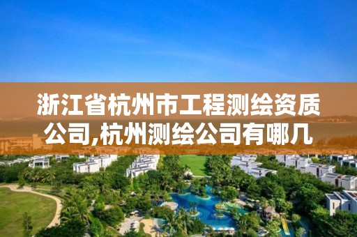 浙江省杭州市工程测绘资质公司,杭州测绘公司有哪几家