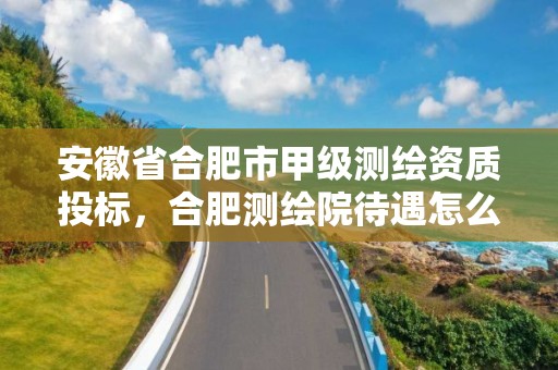 安徽省合肥市甲级测绘资质投标，合肥测绘院待遇怎么样