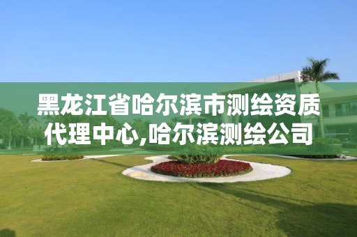 黑龙江省哈尔滨市测绘资质代理中心,哈尔滨测绘公司电话。