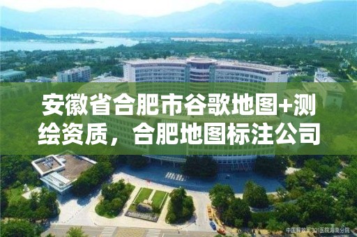 安徽省合肥市谷歌地图+测绘资质，合肥地图标注公司