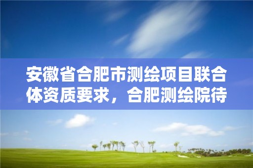 安徽省合肥市测绘项目联合体资质要求，合肥测绘院待遇怎么样