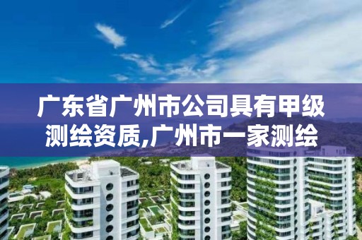 广东省广州市公司具有甲级测绘资质,广州市一家测绘资质单位