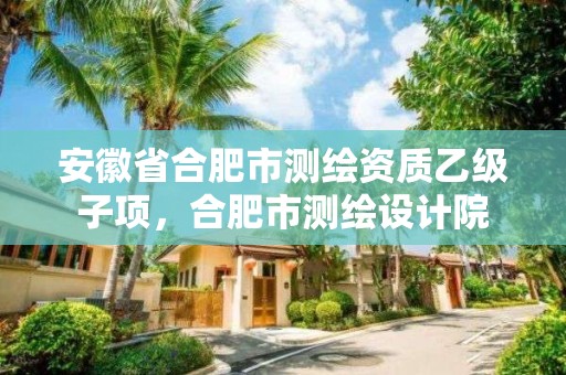 安徽省合肥市测绘资质乙级子项，合肥市测绘设计院