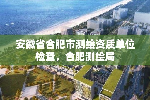 安徽省合肥市测绘资质单位检查，合肥测绘局