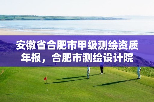 安徽省合肥市甲级测绘资质年报，合肥市测绘设计院