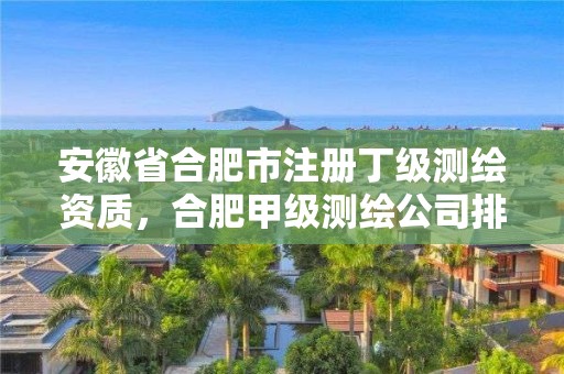 安徽省合肥市注册丁级测绘资质，合肥甲级测绘公司排行