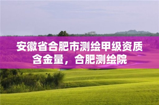 安徽省合肥市测绘甲级资质含金量，合肥测绘院