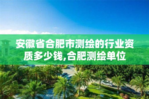 安徽省合肥市测绘的行业资质多少钱,合肥测绘单位