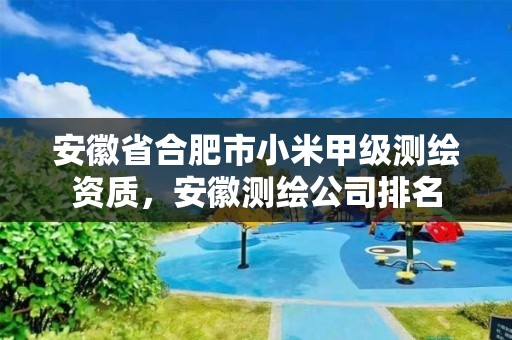 安徽省合肥市小米甲级测绘资质，安徽测绘公司排名