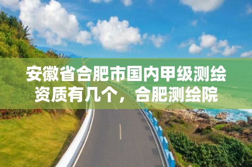 安徽省合肥市国内甲级测绘资质有几个，合肥测绘院