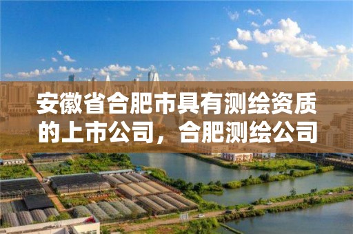 安徽省合肥市具有测绘资质的上市公司，合肥测绘公司有多少家