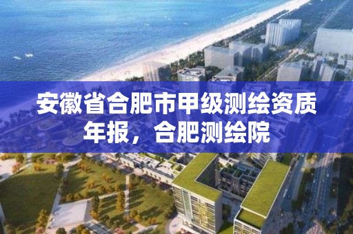 安徽省合肥市甲级测绘资质年报，合肥测绘院