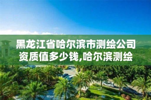 黑龙江省哈尔滨市测绘公司资质值多少钱,哈尔滨测绘局是干什么的。