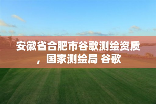 安徽省合肥市谷歌测绘资质，国家测绘局 谷歌