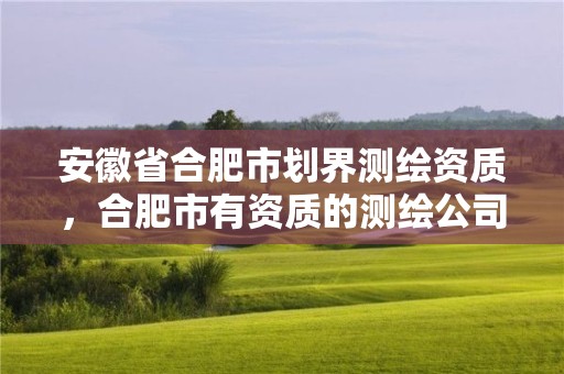 安徽省合肥市划界测绘资质，合肥市有资质的测绘公司