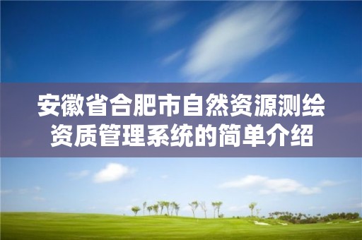 安徽省合肥市自然资源测绘资质管理系统的简单介绍