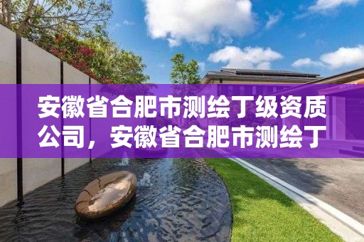 安徽省合肥市测绘丁级资质公司，安徽省合肥市测绘丁级资质公司有哪些