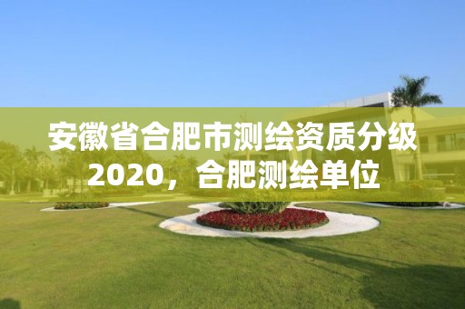 安徽省合肥市测绘资质分级2020，合肥测绘单位