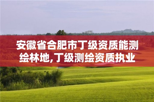 安徽省合肥市丁级资质能测绘林地,丁级测绘资质执业范围。