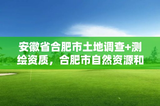 安徽省合肥市土地调查+测绘资质，合肥市自然资源和规划局测绘地理信息管理处