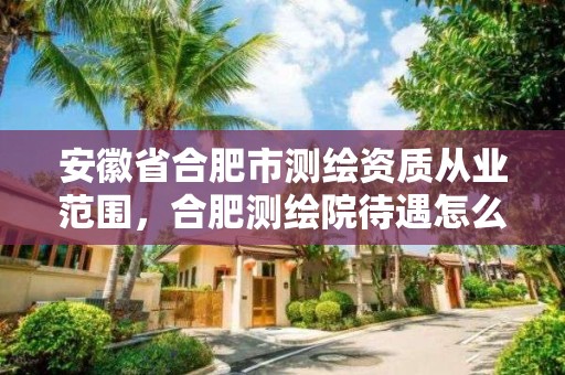 安徽省合肥市测绘资质从业范围，合肥测绘院待遇怎么样