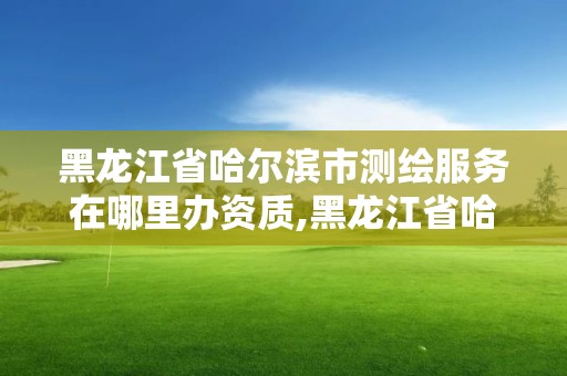 黑龙江省哈尔滨市测绘服务在哪里办资质,黑龙江省哈尔滨市测绘局。