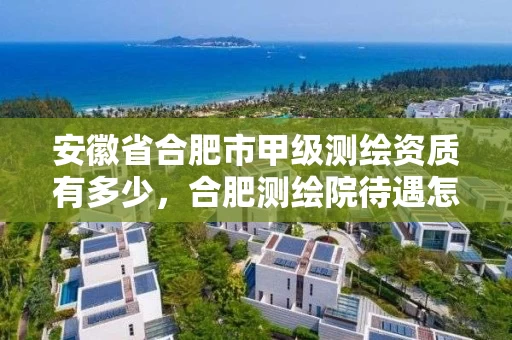 安徽省合肥市甲级测绘资质有多少,合肥测绘院待遇怎么样 安徽省合肥市甲级测绘资质有多少,合肥测绘院待遇怎么样