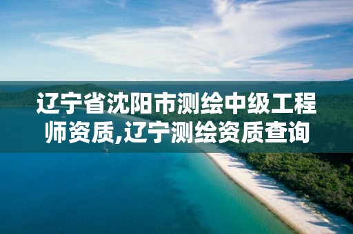 辽宁省沈阳市测绘中级工程师资质,辽宁测绘资质查询。